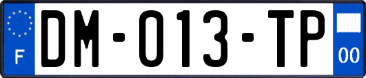 DM-013-TP