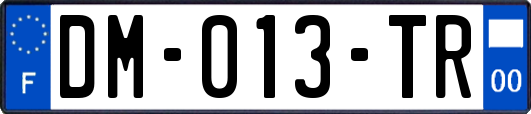 DM-013-TR