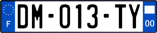DM-013-TY