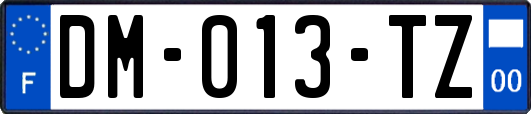 DM-013-TZ