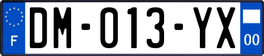 DM-013-YX