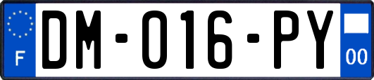 DM-016-PY