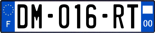 DM-016-RT