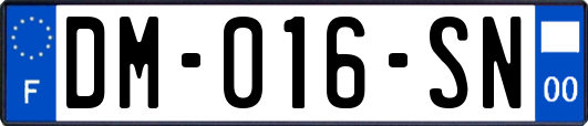 DM-016-SN