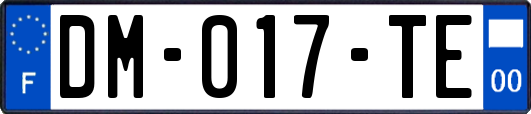 DM-017-TE