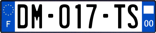 DM-017-TS