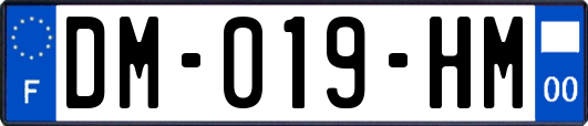 DM-019-HM