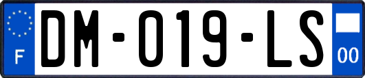 DM-019-LS