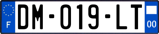 DM-019-LT