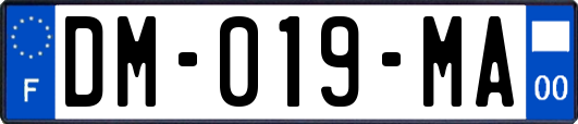 DM-019-MA