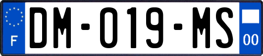 DM-019-MS