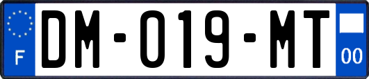 DM-019-MT