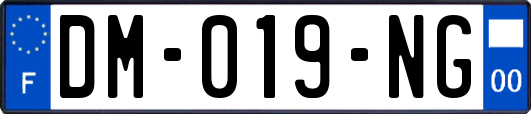 DM-019-NG