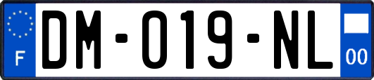 DM-019-NL