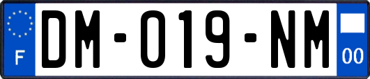 DM-019-NM