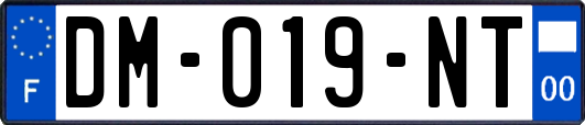 DM-019-NT