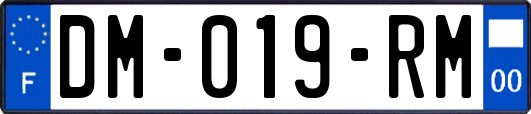 DM-019-RM