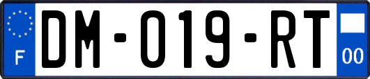 DM-019-RT