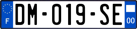 DM-019-SE