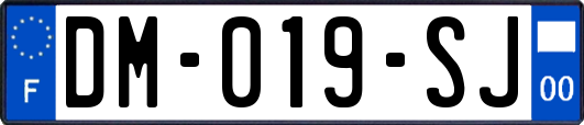 DM-019-SJ