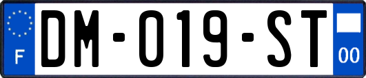 DM-019-ST
