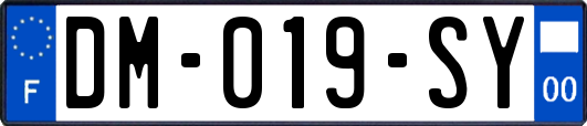 DM-019-SY