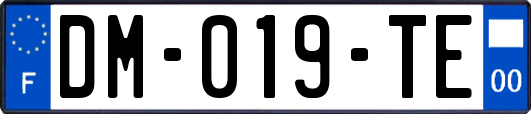 DM-019-TE