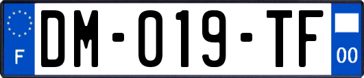 DM-019-TF