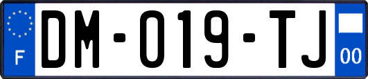DM-019-TJ