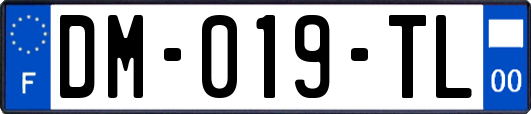 DM-019-TL