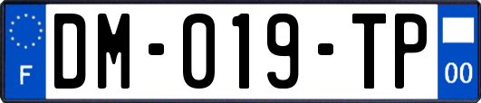DM-019-TP