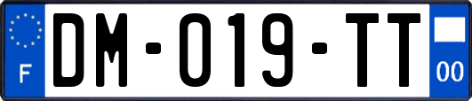 DM-019-TT