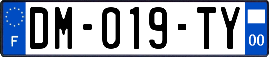 DM-019-TY
