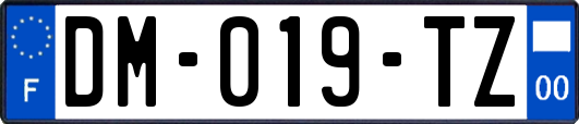 DM-019-TZ