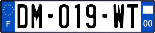 DM-019-WT