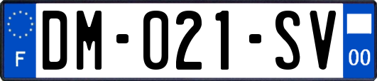 DM-021-SV