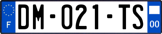 DM-021-TS