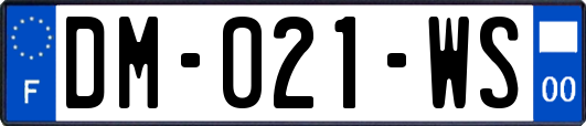 DM-021-WS