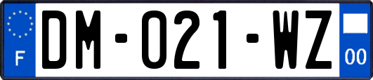 DM-021-WZ