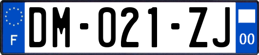 DM-021-ZJ