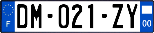 DM-021-ZY