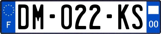 DM-022-KS