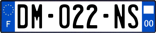 DM-022-NS