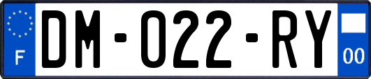 DM-022-RY