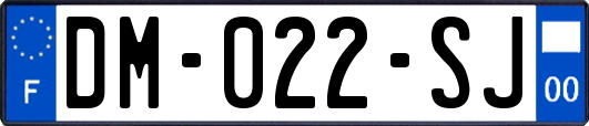 DM-022-SJ