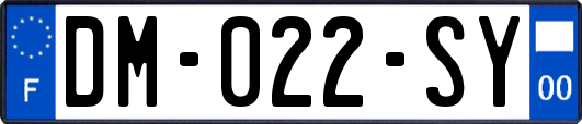 DM-022-SY