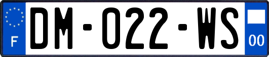 DM-022-WS