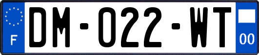 DM-022-WT