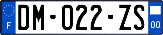 DM-022-ZS