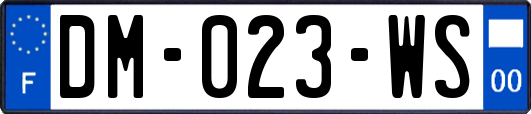 DM-023-WS